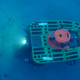 Pisces V submersible on the seafloor.